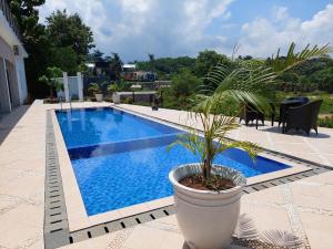 garden house jepara