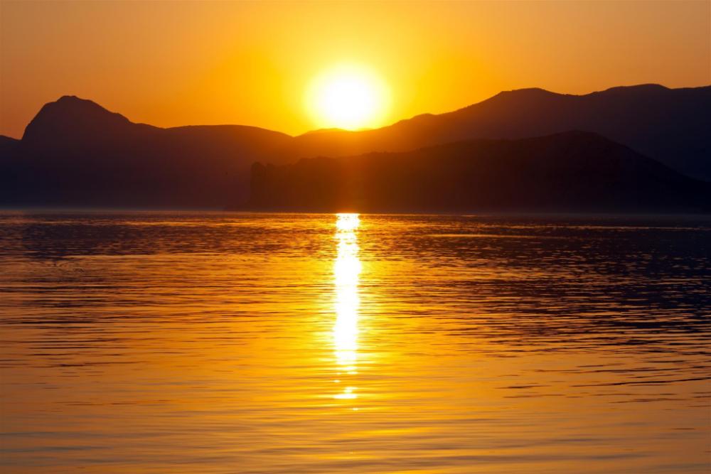 palu