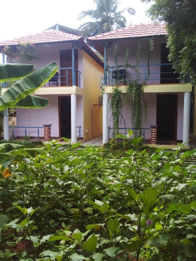 ranga beach resort