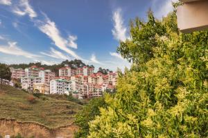 shimla