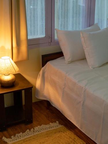 pop mohija homestay