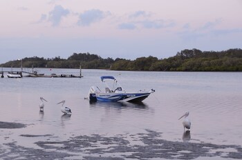 moby dick waterfront resort motel