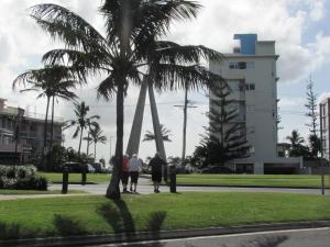 tweed heads
