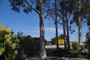 riviana motel