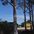 riviana motel