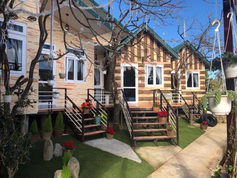 pine tree homestay