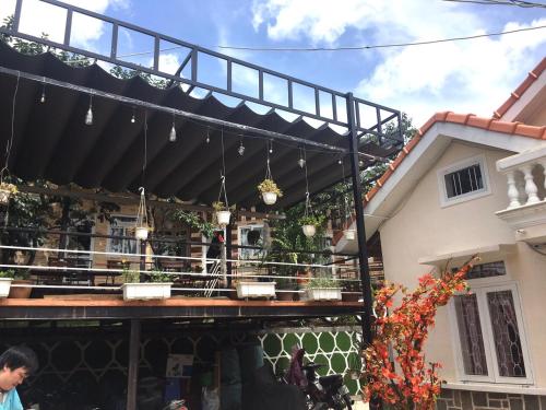 pine tree homestay