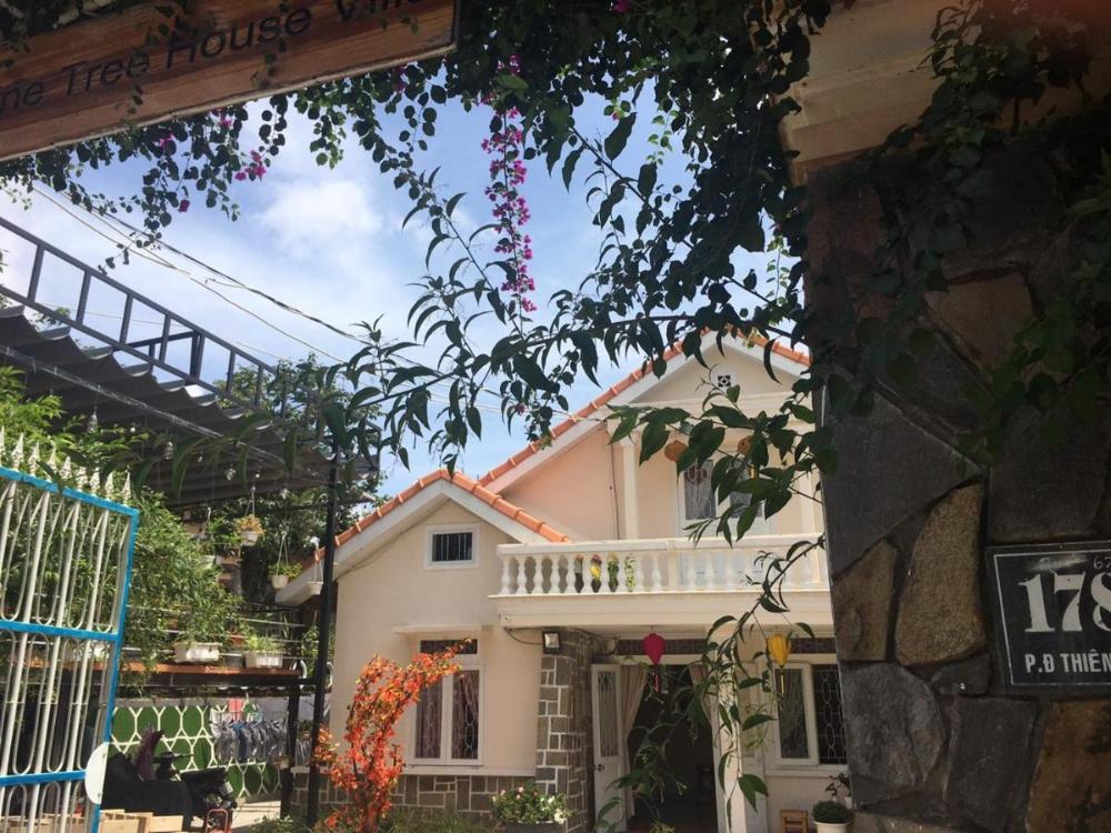 pine tree homestay