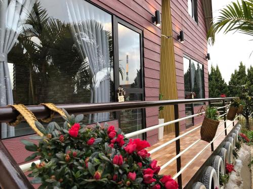 pine tree homestay