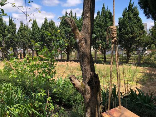 pine tree homestay