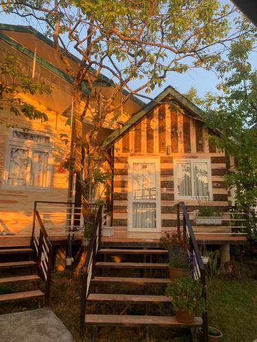 pine tree homestay