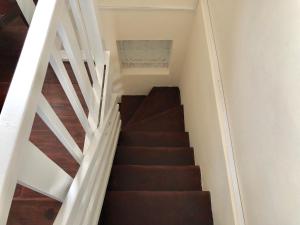 pine tree homestay