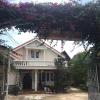 pine tree homestay