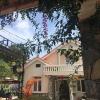pine tree homestay