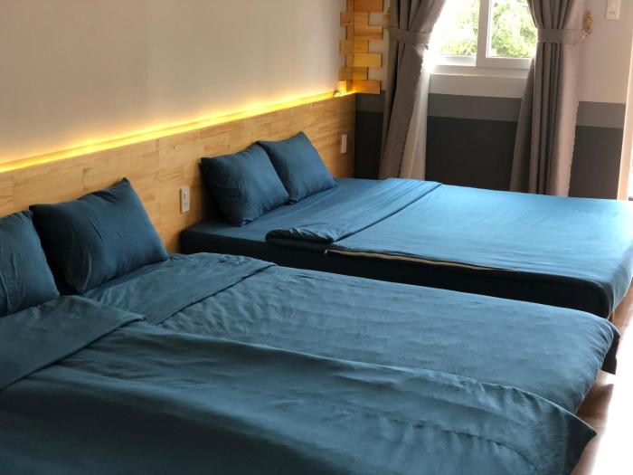 pine tree homestay