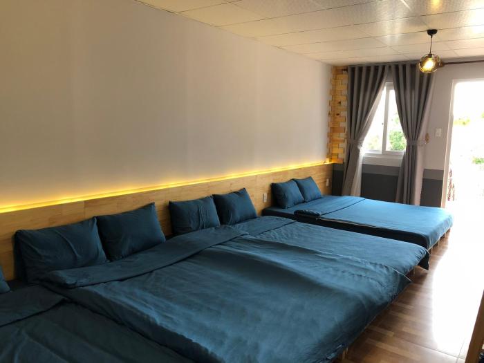 pine tree homestay