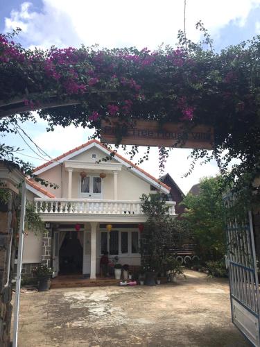 pine tree homestay