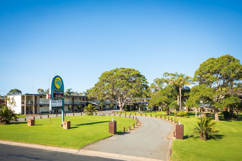 black dolphin motel and apartments