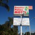 forster palms motel
