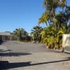 forster palms motel