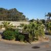 forster palms motel