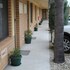 lone pine motel corowa
