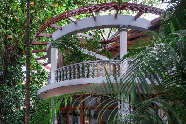jungle addition