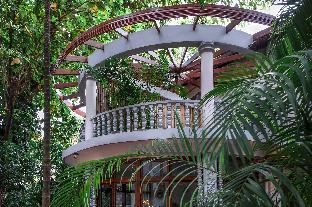 jungle addition