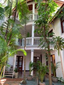 jungle addition