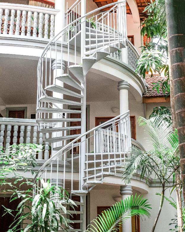 jungle addition