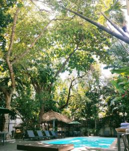 jungle addition