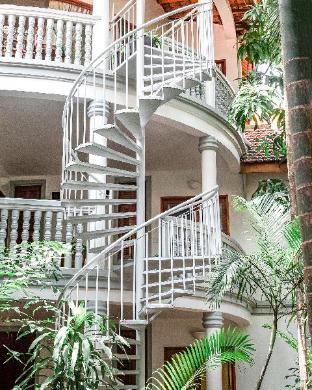 jungle addition