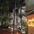 jungle addition