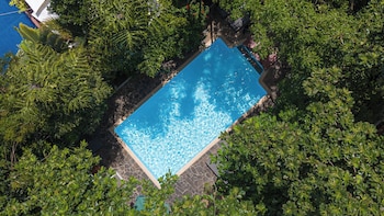 jungle addition