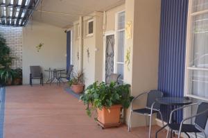 albury clifton motel