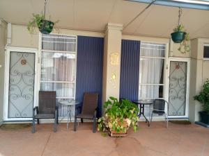 albury clifton motel