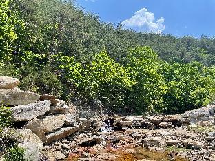 yangyang dalpaengi pension