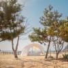 taean gun