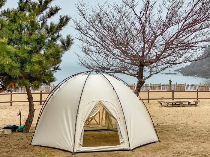 taean gun