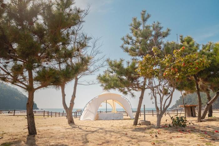 taean gun