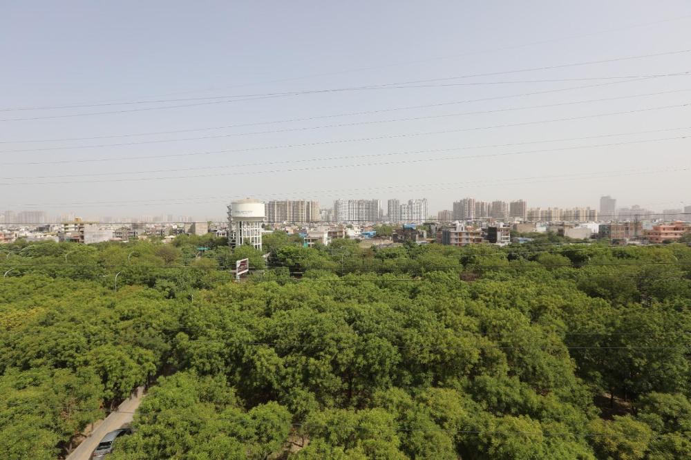 hotel noida grand