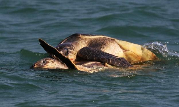 kanikasundari home stay