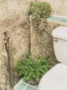 re connect pai keys resort