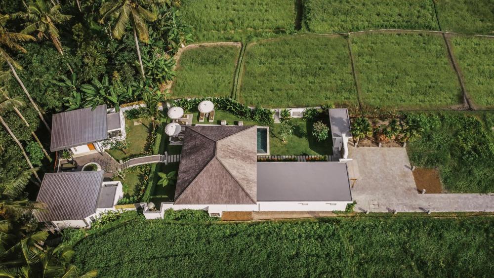 umah shama