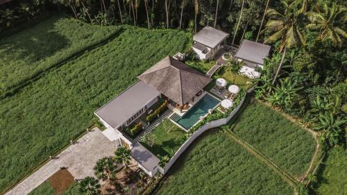 umah shama