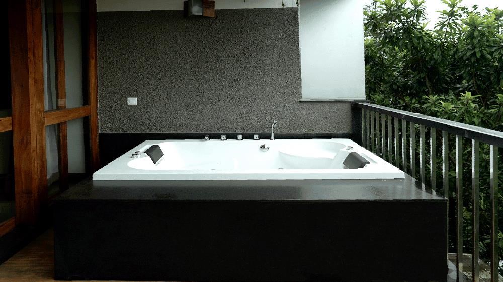 wayanad silver woods hotel