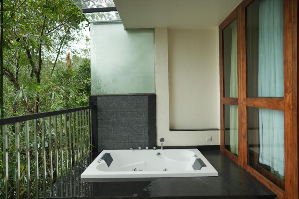 wayanad silver woods hotel