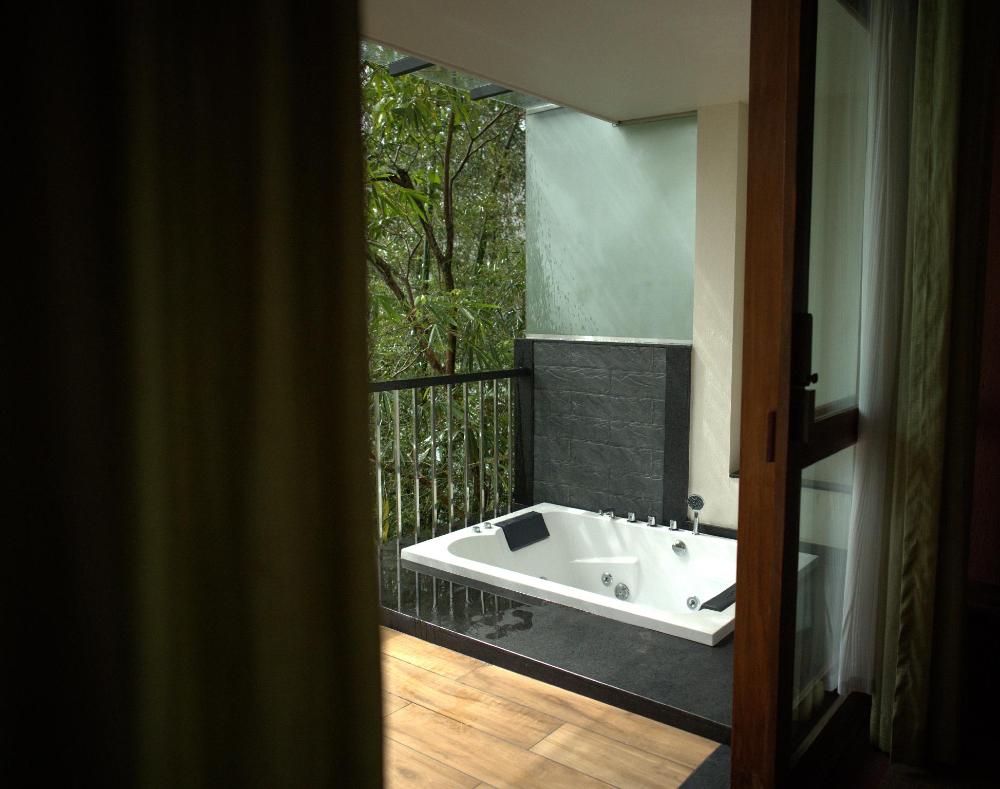 wayanad silver woods hotel