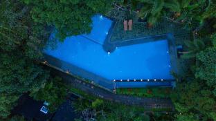 wayanad silver woods hotel