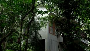 wayanad silver woods hotel